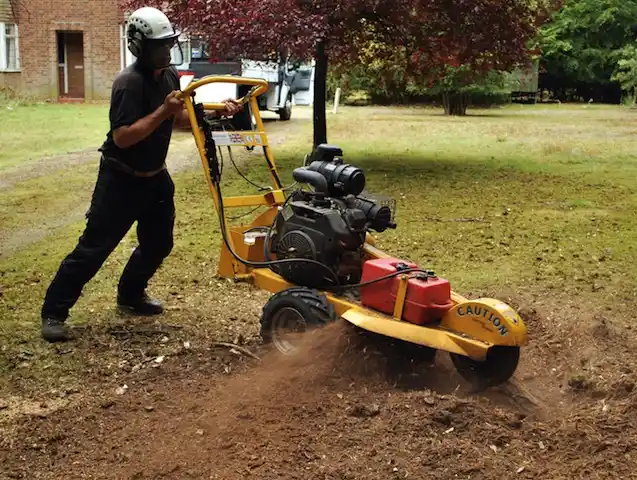 tree services United States