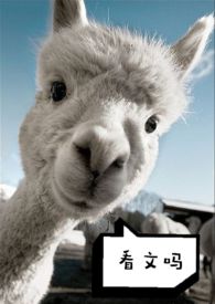 悠悠我心